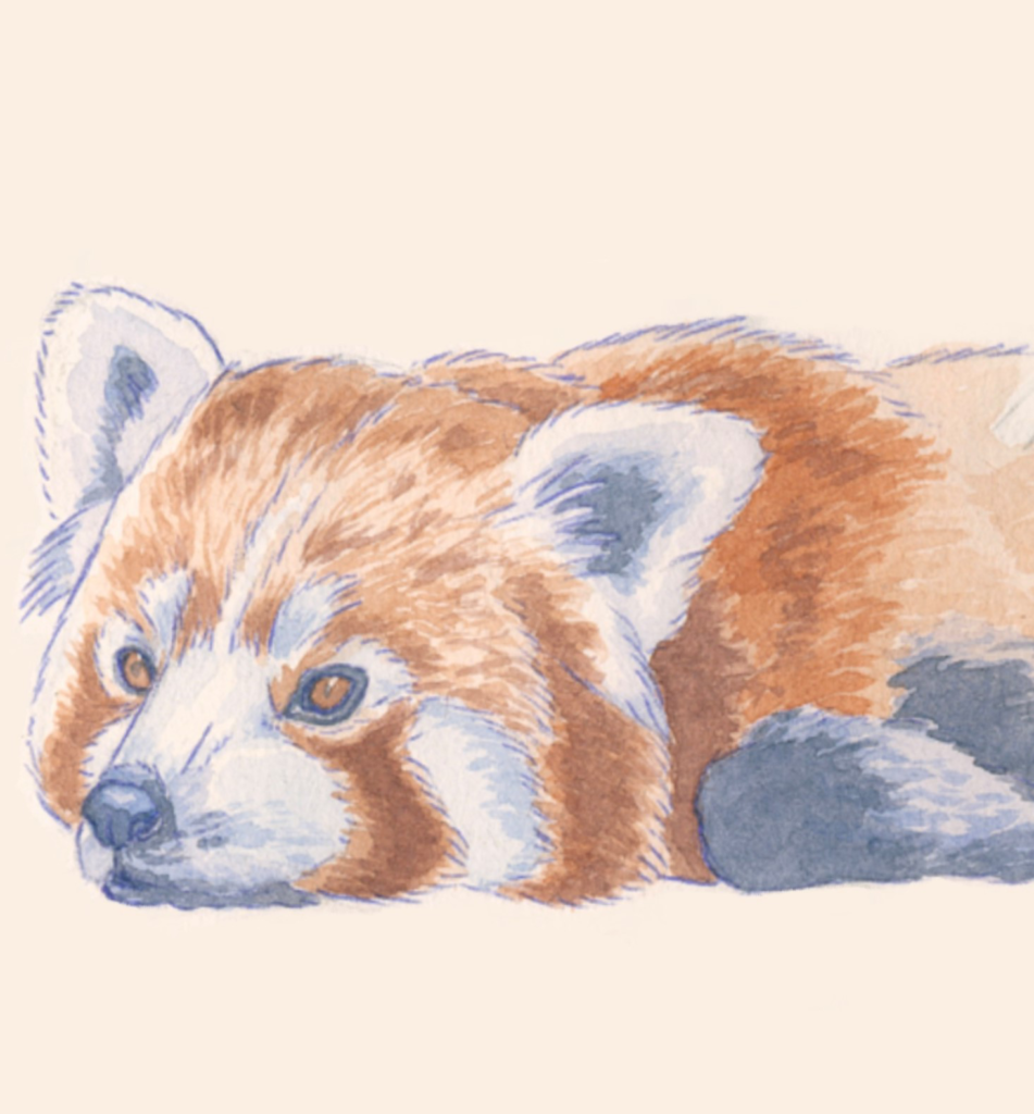 finden, entwerfen, umsetzen